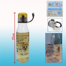 海盗王小骷髅环保水壶